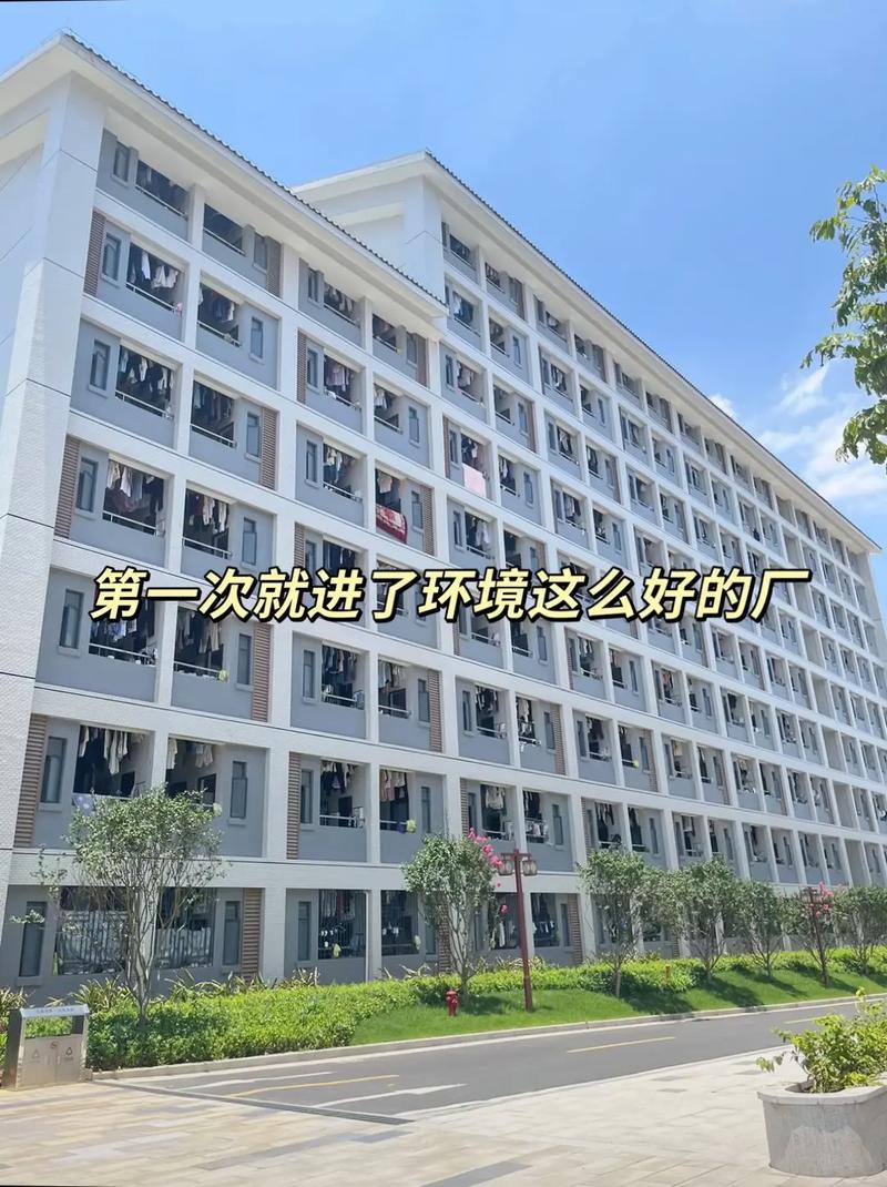 新厂线扩产急招 24元/小时管吃住，电子产品订单激增背后的就业红利